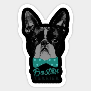 Boston Terrier dog Sticker